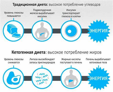 Кетоновая диета отзывы врачей
