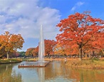 代代木公園 / 東京旅遊官方網站GO TOKYO
