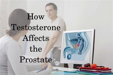 Is Testosterone A Real Risk For Your Prostate HRTGuru Clinic