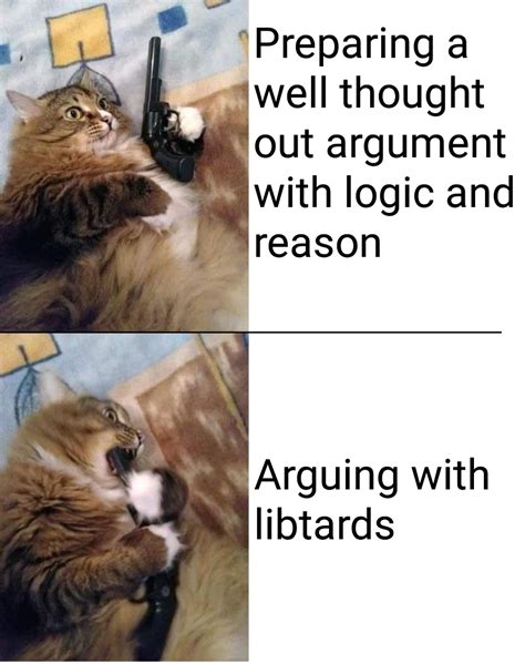 Cats And Despair A Winning Combination For Sure Profits Rmemeeconomy