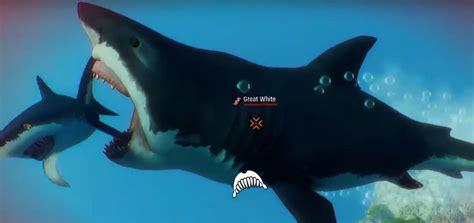 Great White Maneater Wiki