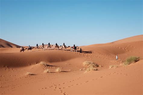 Top 5 Deserts In Africa That Needs To Be On Your Travel List