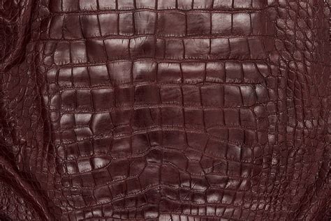 Exotic Leather Blog Alligator Skin