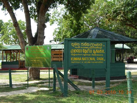 Tour In Srilanka Kumana National Park
