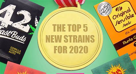 Herbies Headshops Top 5 Headiest Strains Of 2020