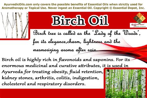 Health Benefits Of Birch Essential Oil Essential Oil