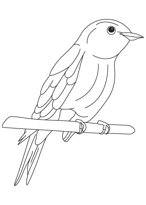 Free Blue Bird Coloring Pages Download Free Blue Bird Coloring Pages