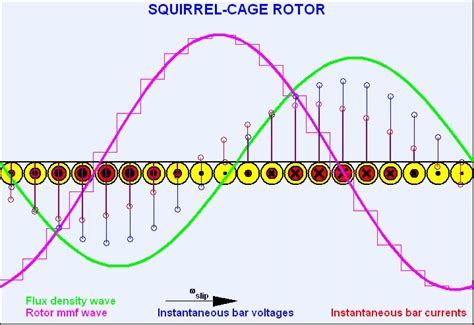Squirrel Cage Induction Motor Developed View
