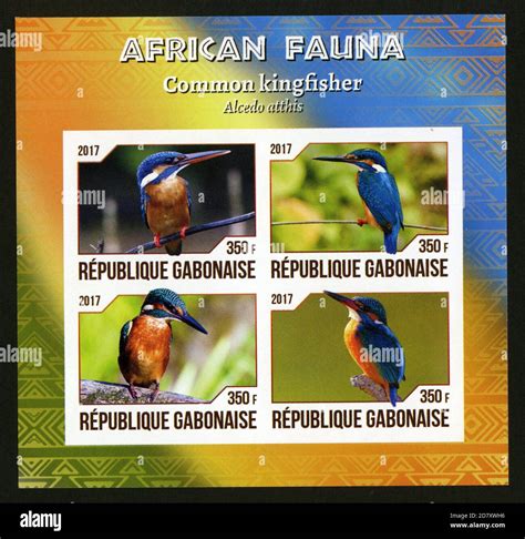 Stamp Print In Gabon Birds Stock Photo Alamy