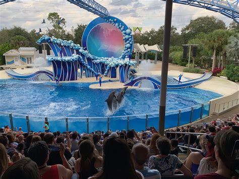 The Amazing Shows Of Seaworld Orlando Key To The World Travel