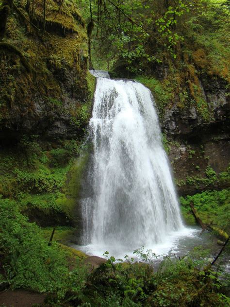 Spirit Falls Umpqua National Forest Oregon Waterfall Places To See
