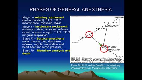 Basic Principles Of Anesthesia Youtube