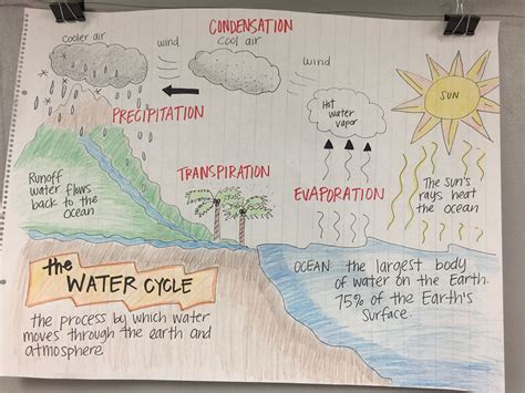 The Water Cycle Anchor Chart Science Anchor Charts Water Cycle