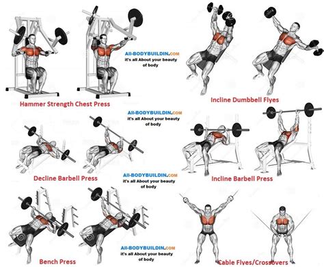 Chest Training Program F Chest Workouts Workout Training Programs