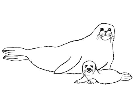 Free Animals Monk Seal Printable Coloring Pages For Kids Preschool Crafts