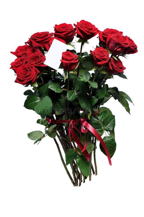 Bunch Of Red Roses Stock Image Image Of Romantic Valentine 30327647