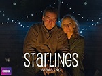 Starlings (TV Series 2012– ) - IMDb