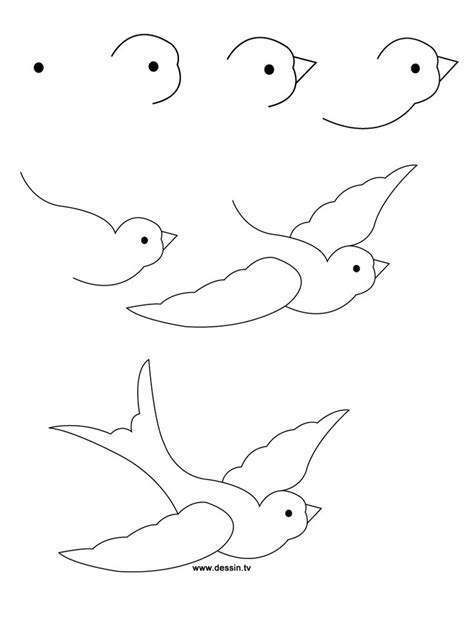 How To Draw A Bird Step By Step Easy With Pictures Birds Drawings