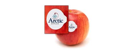 Arctic Apples The Review