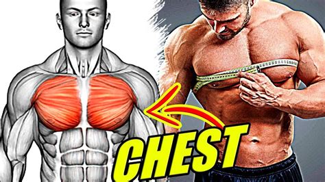 How To Build Bigger Chest Muscles Workout For Chest Youtube