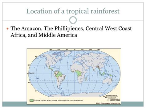As i already mentioned, the tropical rainforests are located between the tropic of cancer and the tropic of capricorn, and the world's largest rainforests can be found in the amazon (south america), in the congo river basin (west africa) and in southeast asia. PPT - Subtropical Rainforest PowerPoint Presentation - ID ...