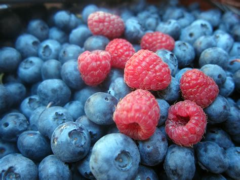 Free Images Plant Raspberry Fruit Berry Food Produce Blackberry