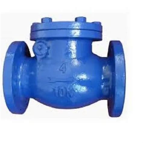 Cast Iron High Pressure Non Return Valve Nrv For Industrial At Rs