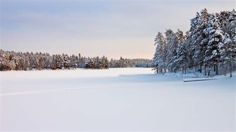 White Landscape Hd Wallpaper