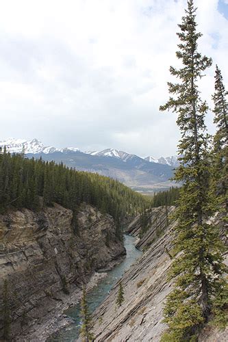 Siffleur Falls One Of Albertas Most Underrated Hikes David Thompson