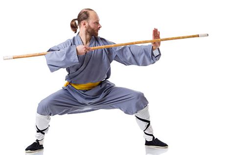 Shaolin Kung Fu Stances Stock Photos Pictures And Royalty Free Images