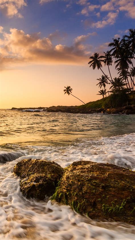 Sunset On The Sandy Beach With Coconut Palms Sri Lanka Windows 10