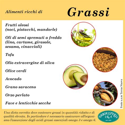 Alimenti Ricchi Di Grassi Orzo Health Food Avocado Mindfulness