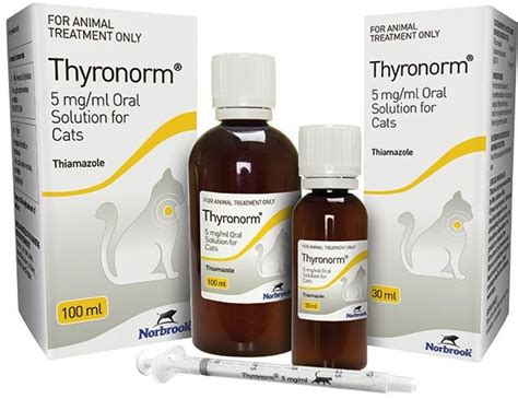 Liquid Therapy Launched For Feline Hyperthyroidism Vet Times