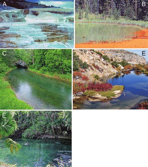 Examples Of Spring Habitats A Thermal Hot Spring Travertine