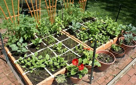 Vegetable Garden Pots Beginners Garden Design Ideas