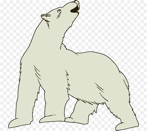 Clip Art Polar Bear 20 Free Cliparts Download Images On Clipground 2022