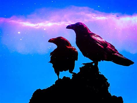 Night Of The Ravens Photograph By Sunset Escape