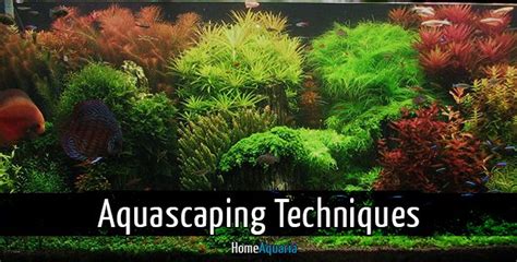 Get it as soon as wed, jan 6. Aquascaping Techniques: From Beginner To Advanced | Home ...