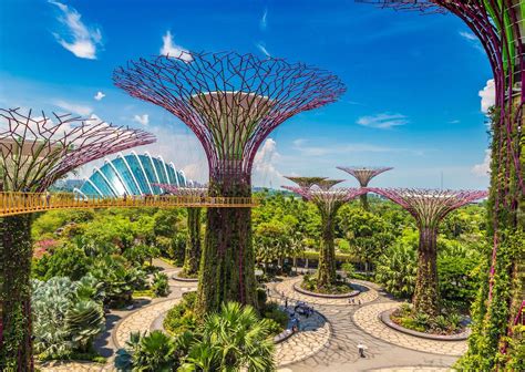 A Guide To Gardens By The Bay Singapore