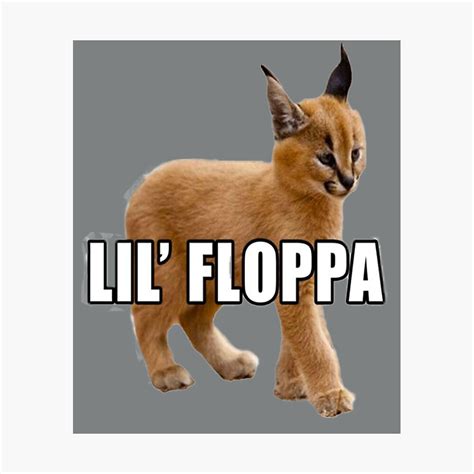 Floppa Peeker Meme Peeking Big Floppa Baby Caracal Poster For Sale By
