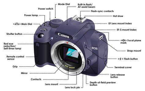 Dslr Camera Functions Diagram This Diagraminfographic Sho Flickr
