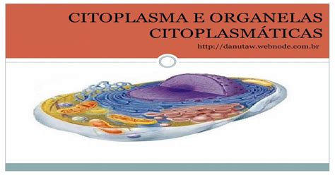 Citoplasma E Organelas CitoplasmÁbr