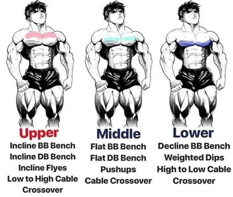 Chest Workout Upper Chest Middle Chest Lower Chest Workout Chest Workout For Men Lower