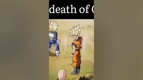 Goku Died Scene Youtube