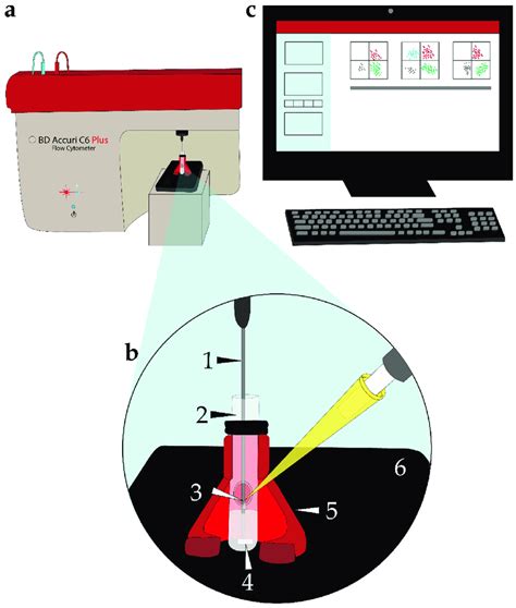 Schematic Diagram Of The Time Lapse Flow Cytometry Tlfc Instrument