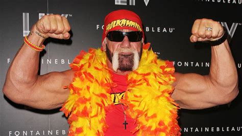Hulk Hogan Returns To WWE Variety