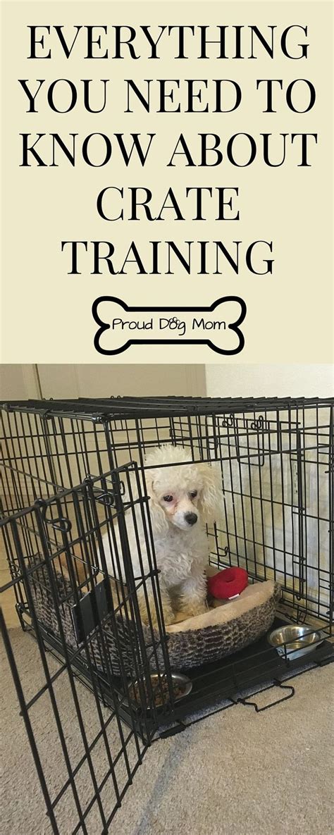 Training 8 week old goldendoodle puppy. Best 25+ Crate training ideas on Pinterest | Puppy crate ...