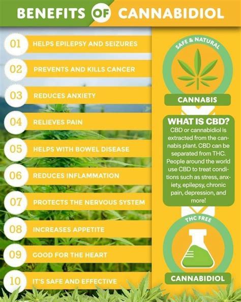 What Is Cbd Cannabidiol Cbd Oil Benefits Side Effects Fundamentals Explained