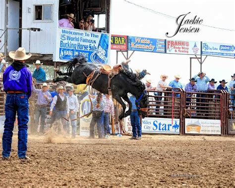 World Famous Miles City Bucking Horse Sale Kimes Ranch