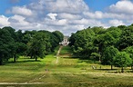 Richmond Park in London - The Royal Park that you must visit